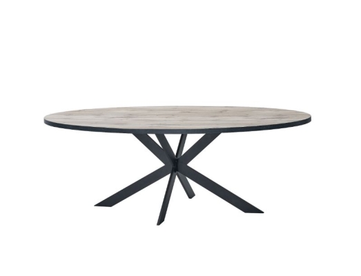 Table ovale 220 x 110 cm avec pieds étoile