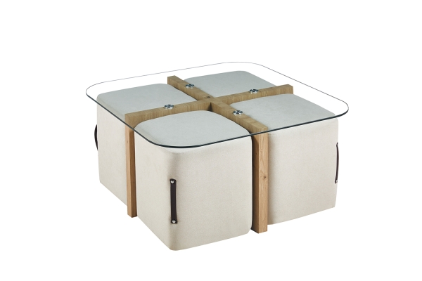 5101 1 Salontafel table basse Shana 4.jpg